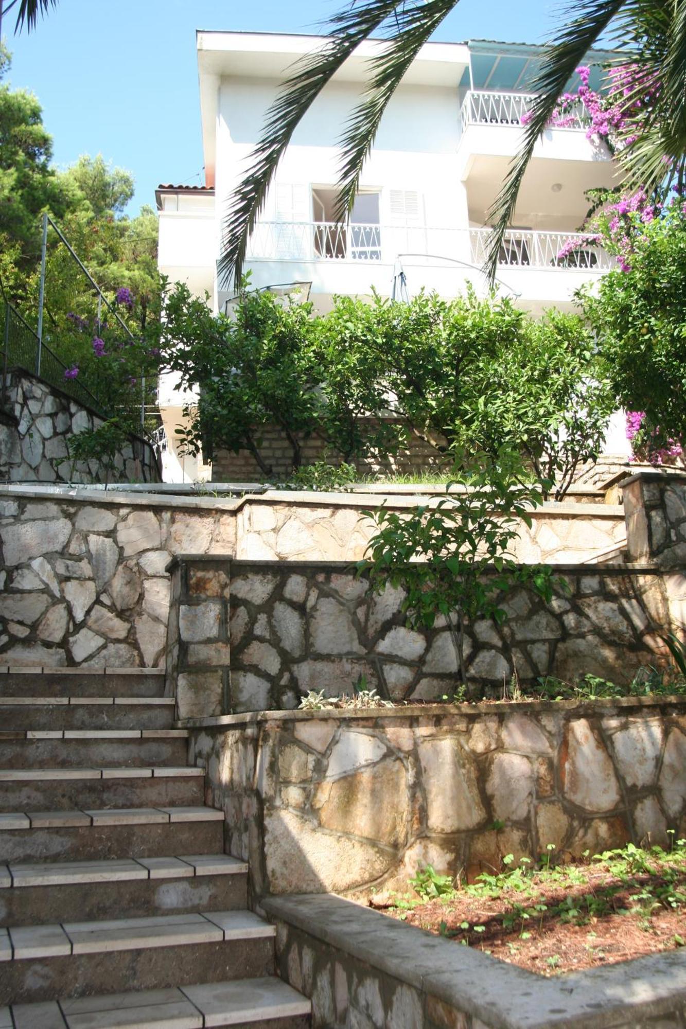 Bugenvila * Vrboska